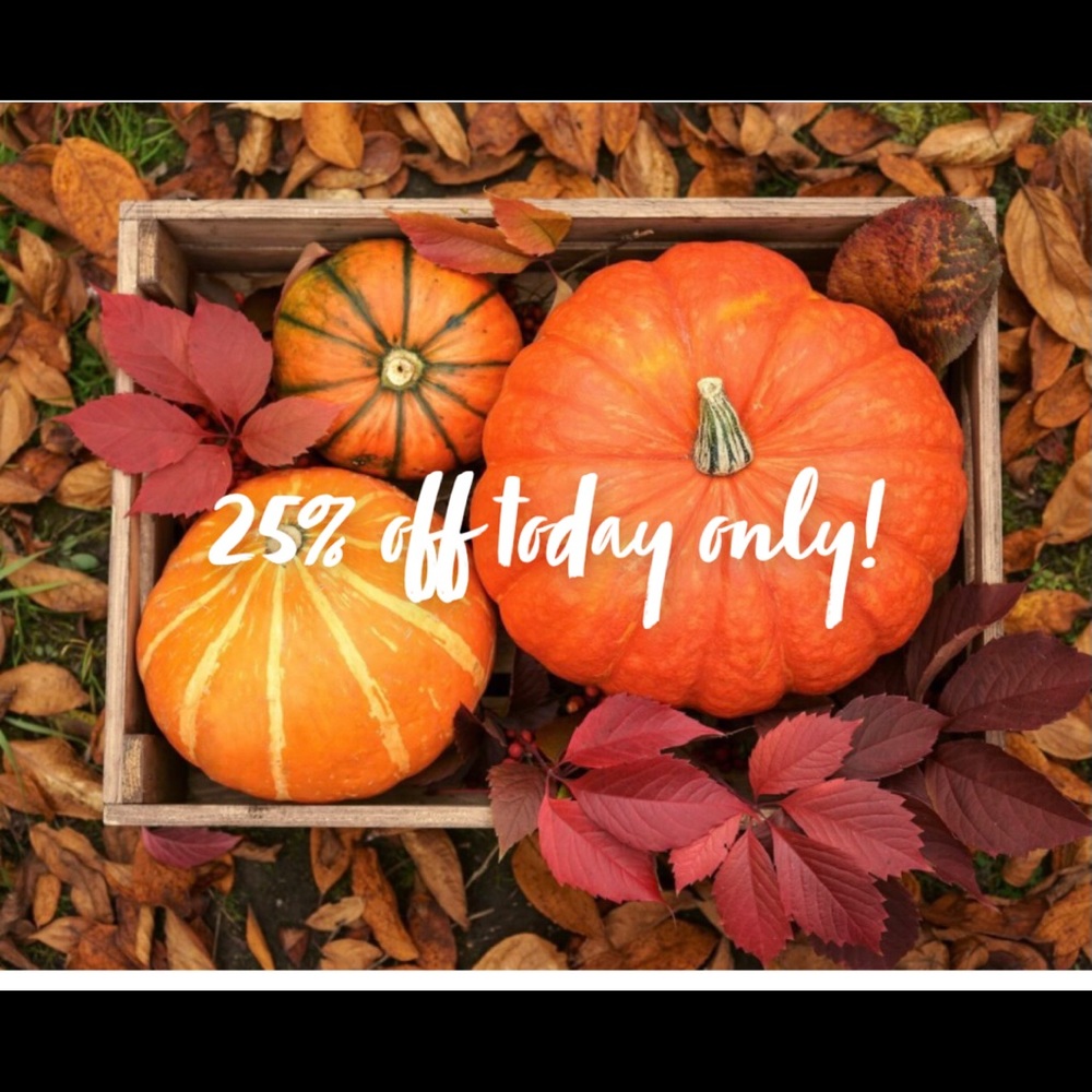 TODAY ONLY 25% off